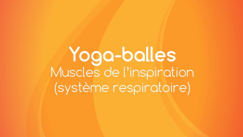 16. Yoga Balles™️ - Pour les muscles de l'inspiration (système respiratoire)	avec Mireille Martel